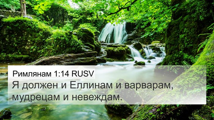 Римлянам 1:14 RUSV Bible Verse Image
