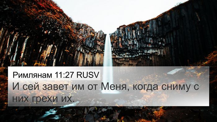 Римлянам 11:27 RUSV Bible Verse Image