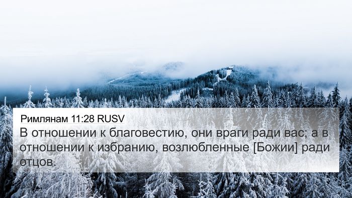 Римлянам 11:28 RUSV Bible Verse Image