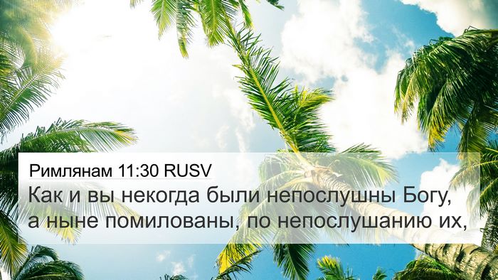 Римлянам 11:30 RUSV Bible Verse Image