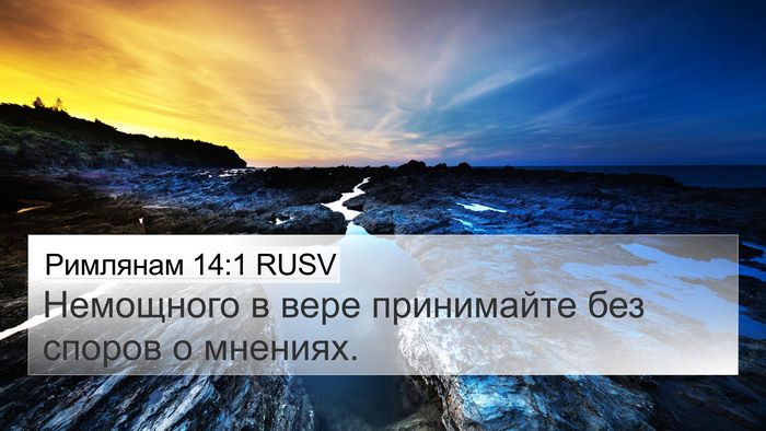 Римлянам 14:1 RUSV Bible Verse Image
