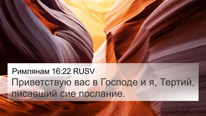 Римлянам 16:22 RUSV Bible Verse Image