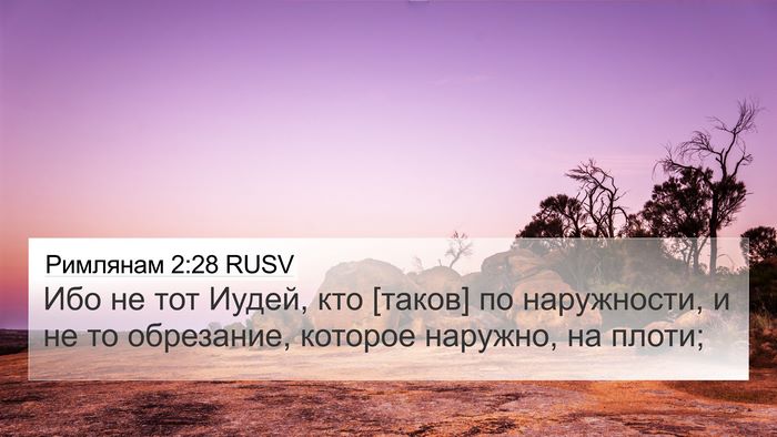 Римлянам 2:28 RUSV Bible Verse Image