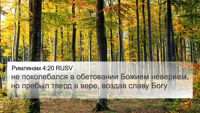 Римлянам 4:20 RUSV Bible Verse Image