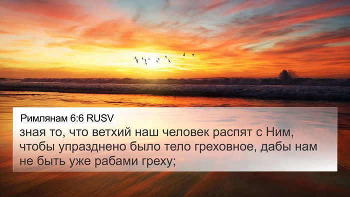 Римлянам 6:6 RUSV Bible Verse Image