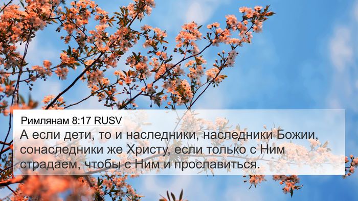 Римлянам 8:17 RUSV Bible Verse Image