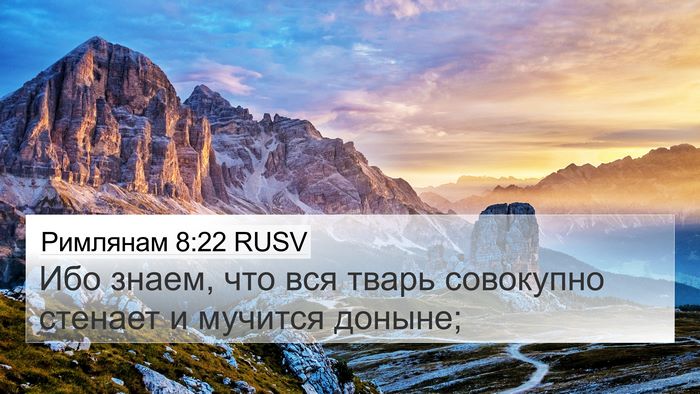 Римлянам 8:22 RUSV Bible Verse Image