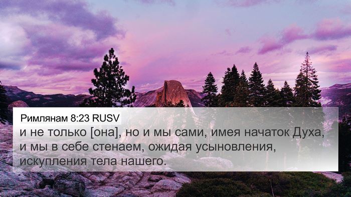 Римлянам 8:23 RUSV Bible Verse Image