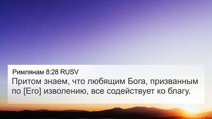 Римлянам 8:28 RUSV Bible Verse Image