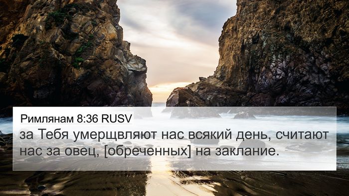 Римлянам 8:36 RUSV Bible Verse Image