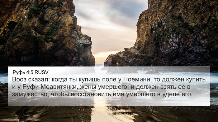 Руфь 4:5 RUSV Bible Verse Image
