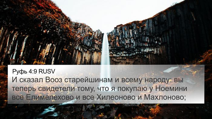 Руфь 4:9 RUSV 4K Wallpaper - И сказал Вооз старейшинам - 4K Wallpaper Bible Verse