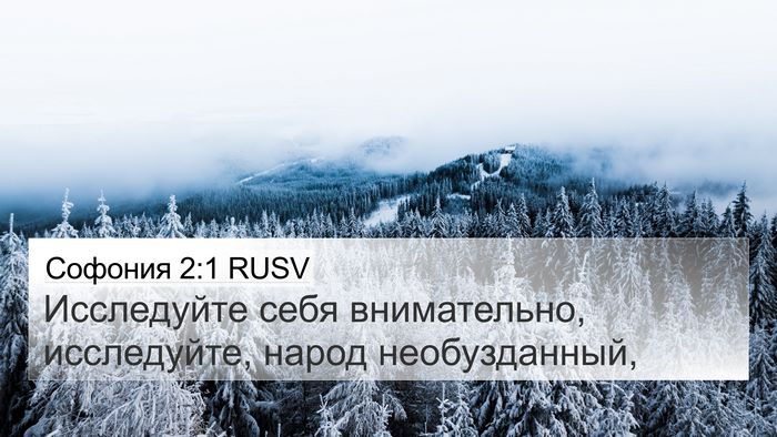 Софония 2:1 RUSV Bible Verse Image