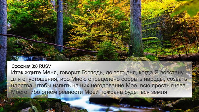 Софония 3:8 RUSV Bible Verse Image