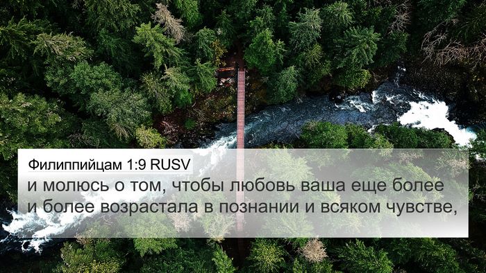 Филиппийцам 1:9 RUSV Bible Verse Image