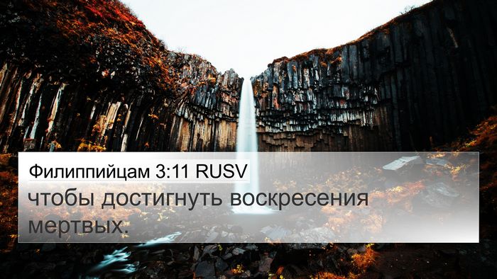 Филиппийцам 3:11 RUSV Bible Verse Image