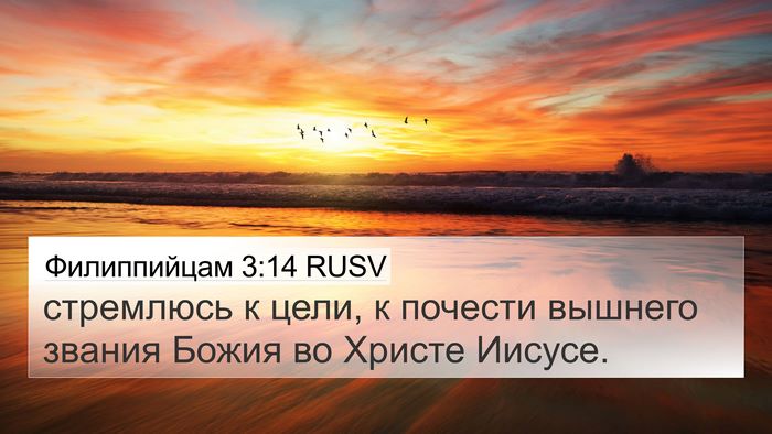 Филиппийцам 3:14 RUSV 4K Wallpaper - стремлюсь к цели, к почести - 4K Wallpaper Bible Verse
