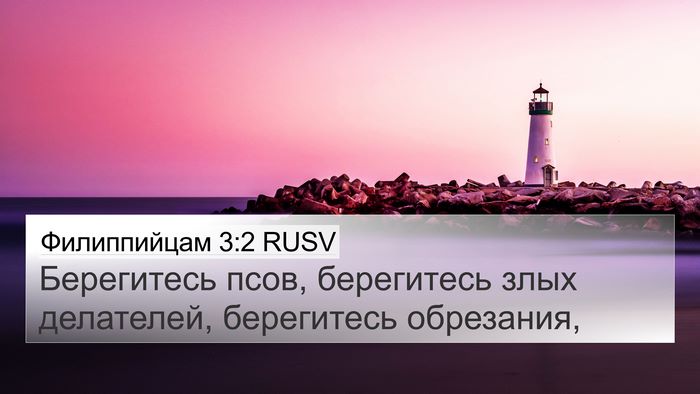 Филиппийцам 3:2 RUSV Bible Verse Image