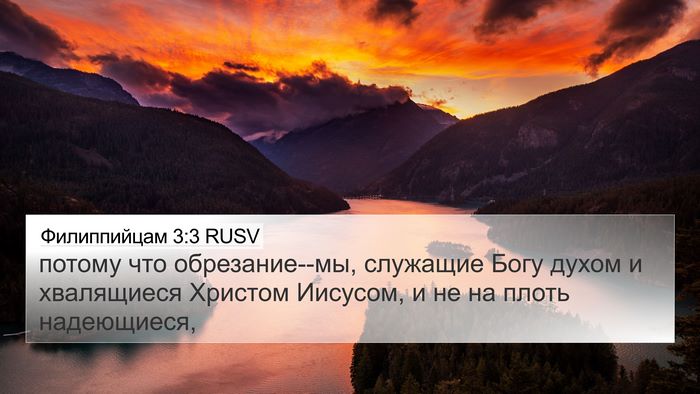 Филиппийцам 3:3 RUSV Bible Verse Image