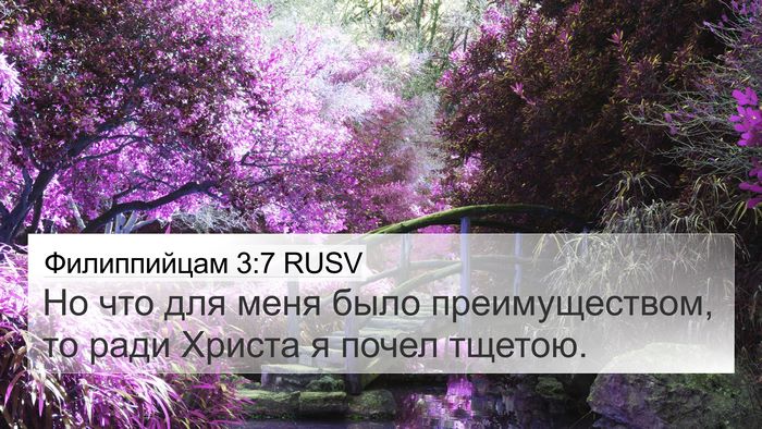 Филиппийцам 3:7 RUSV Bible Verse Image