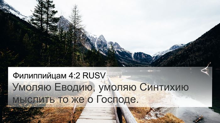 Филиппийцам 4:2 RUSV Bible Verse Image