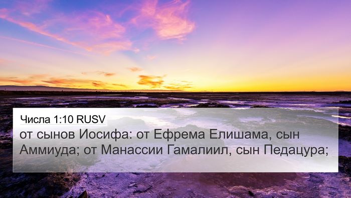 Числа 1:10 RUSV Bible Verse Image