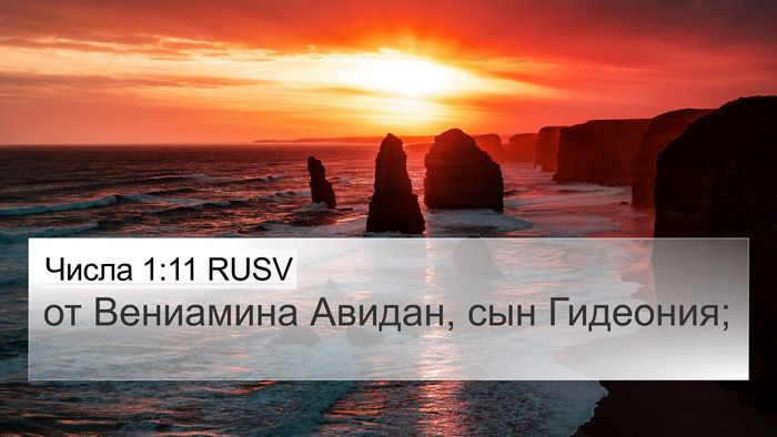 Числа 1:11 RUSV Bible Verse Image