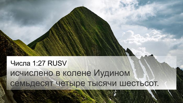 Числа 1:27 RUSV Bible Verse Image