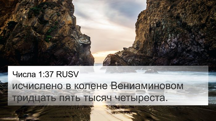 Числа 1:37 RUSV 4K Wallpaper - исчислено в колене - 4K Wallpaper Bible Verse
