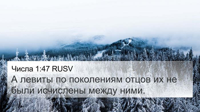 Числа 1:47 RUSV Bible Verse Image