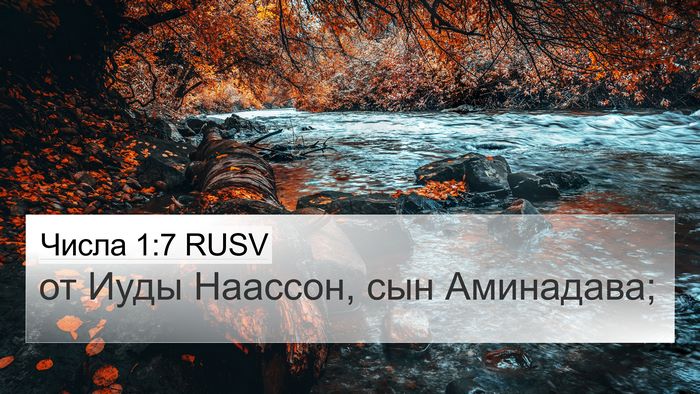Числа 1:7 RUSV Bible Verse Image