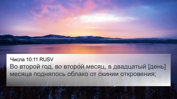 Числа 10:11 RUSV Bible Verse Image