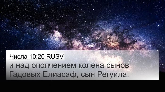 Числа 10:20 RUSV Bible Verse Image