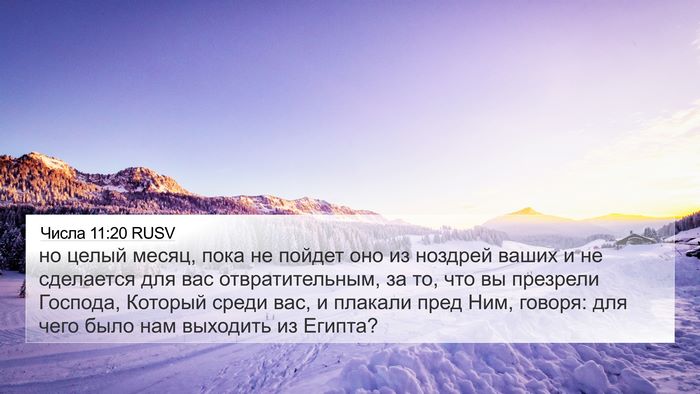 Числа 11:20 RUSV Bible Verse Image