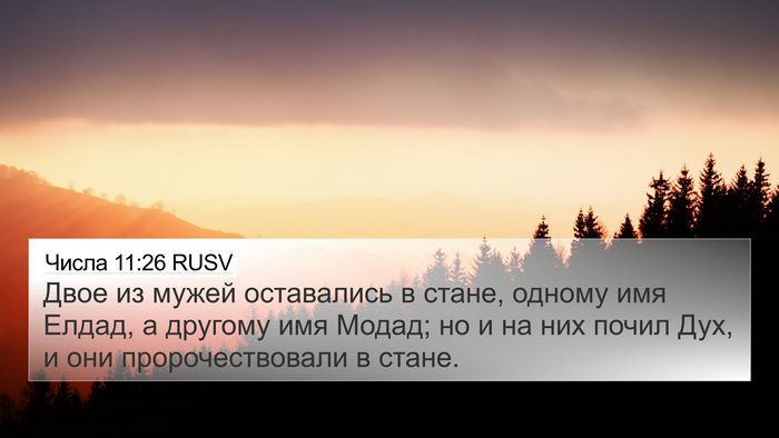 Числа 11:26 RUSV Bible Verse Image