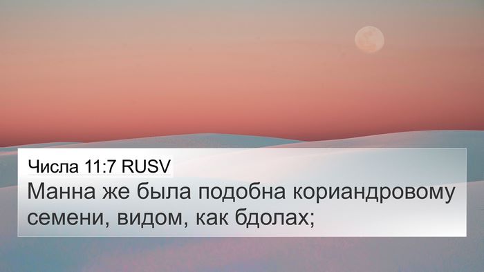 Числа 11:7 RUSV 4K Wallpaper - Манна же была подобна - 4K Wallpaper Bible Verse
