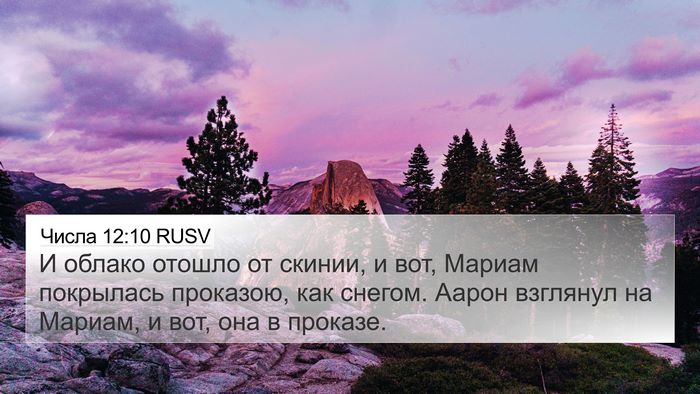 Числа 12:10 RUSV Bible Verse Image