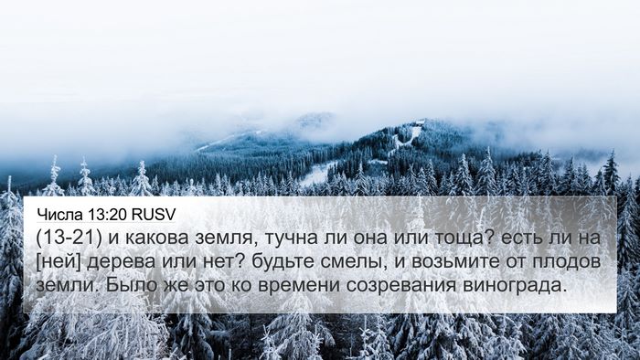 Числа 13:20 RUSV 4K Wallpaper - (13-21) и какова земля, тучна - 4K Wallpaper Bible Verse