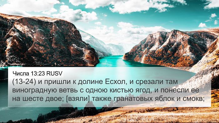 Числа 13:23 RUSV Bible Verse Image