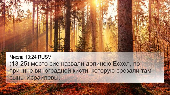Числа 13:24 RUSV 4K Wallpaper - (13-25) место сие назвали - 4K Wallpaper Bible Verse