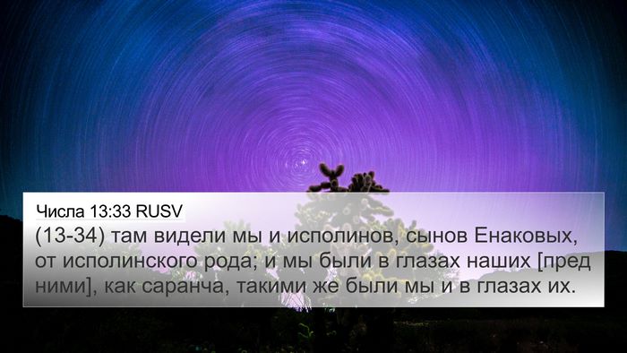 Числа 13:33 RUSV Bible Verse Image