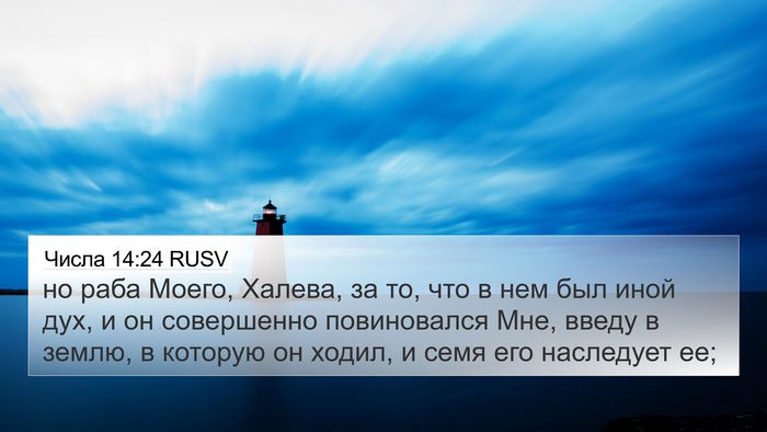 Числа 14:24 RUSV Bible Verse Image