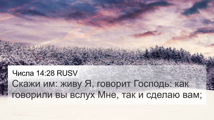 Числа 14:28 RUSV 4K Wallpaper - Скажи им: живу Я, говорит - 4K Wallpaper Bible Verse