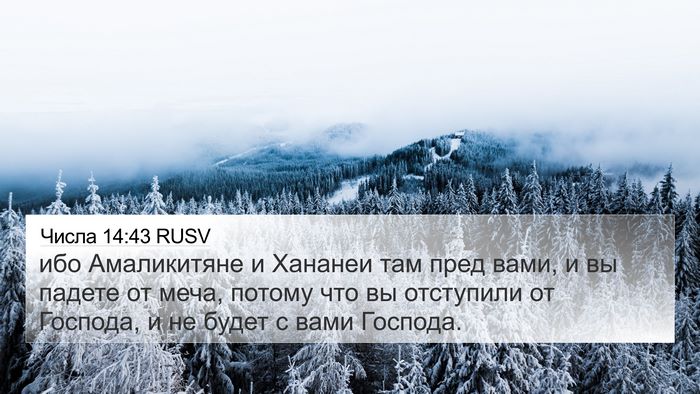 Числа 14:43 RUSV Bible Verse Image