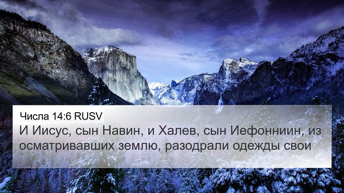 Числа 14:6 RUSV Bible Verse Image