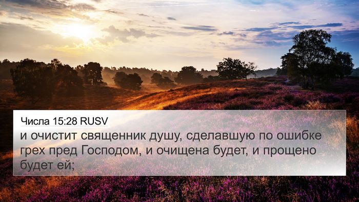 Числа 15:28 RUSV Bible Verse Image