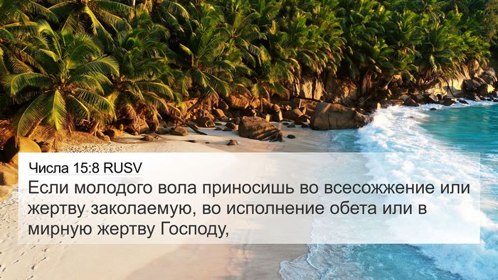 Числа 15:8 RUSV Bible Verse Image
