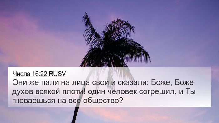 Числа 16:22 RUSV Bible Verse Image