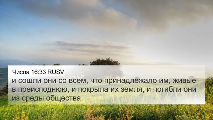 Числа 16:33 RUSV Bible Verse Image