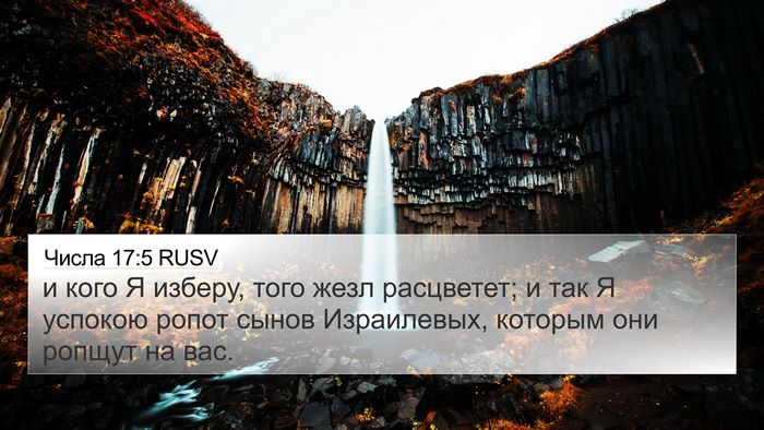Числа 17:5 RUSV Bible Verse Image